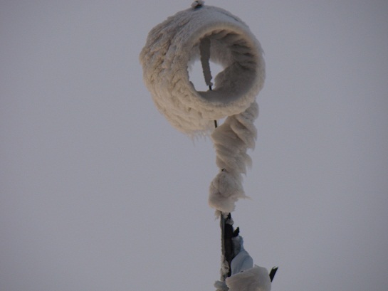 Zdjecie wykonane 12 stycznia.